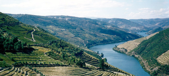 porto_vale_do_douro porto_vale_do_douro